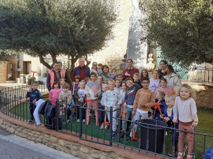 Cueillette d&#8217;olives à Corneilla-la-Rivière : un moment de partage et de découverte