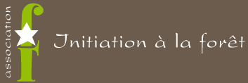 IF - Initiation à la forêt